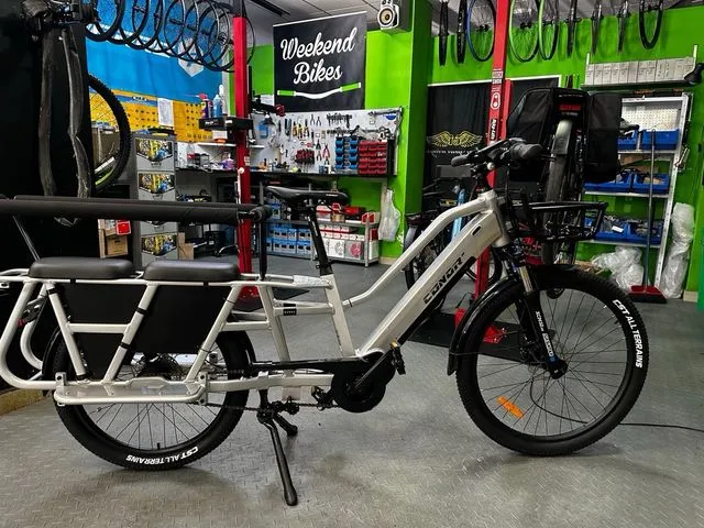 BICICLETA ELECTRICA CARGO CONOR BERNA