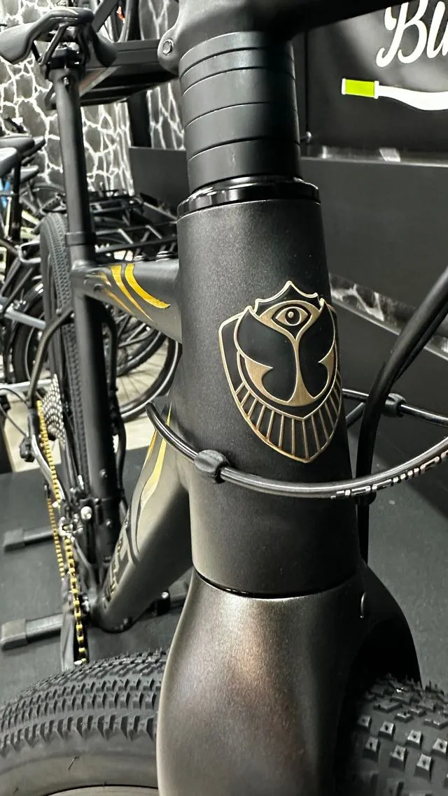 BICICLETA DE GRAVEL RIDLEY INVENIO TOMORROWLAND ED
