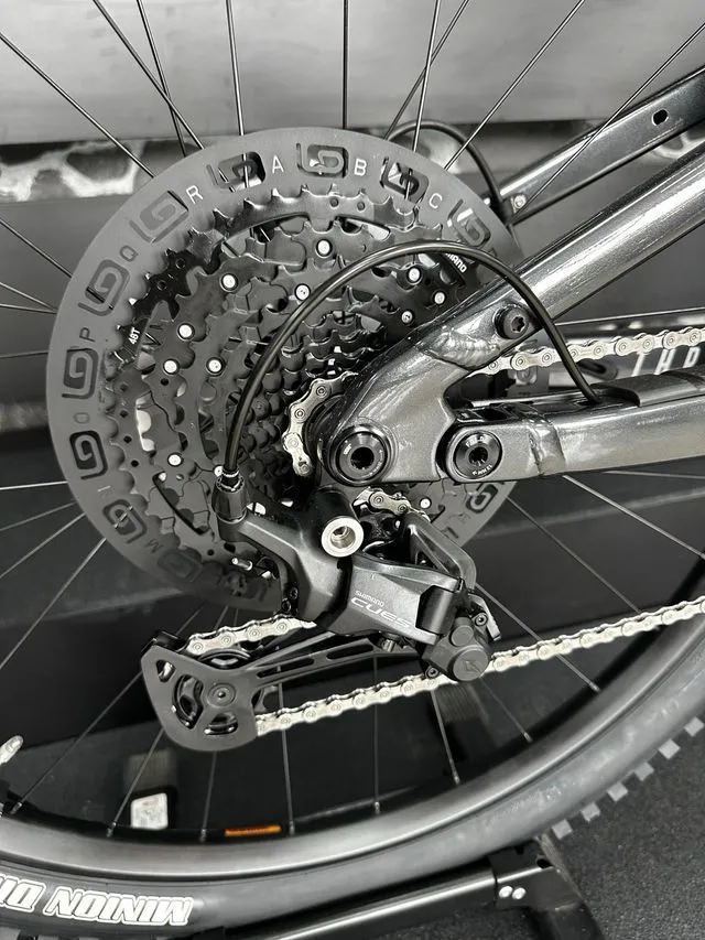 BICICLETA ELECTRICA FOCUS THRON 2 6.6