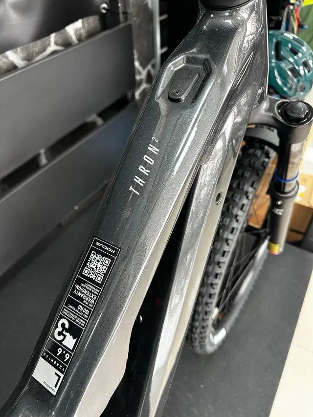 BICICLETA ELECTRICA FOCUS THRON 2 6.6