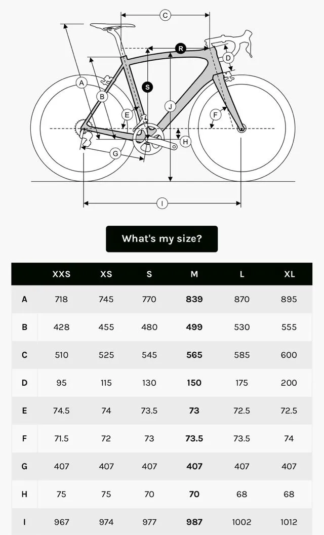 BICICLETA DE CARRETERA RIDLEY FALCNRS 2025 CUSTOM 