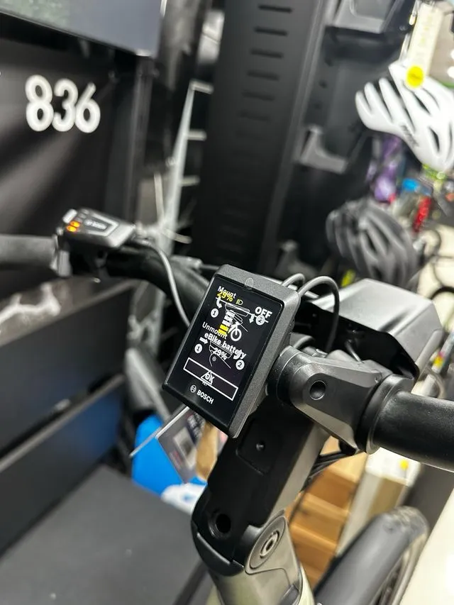 BICICLETA ELECTRICA WINORA YAKUN X10