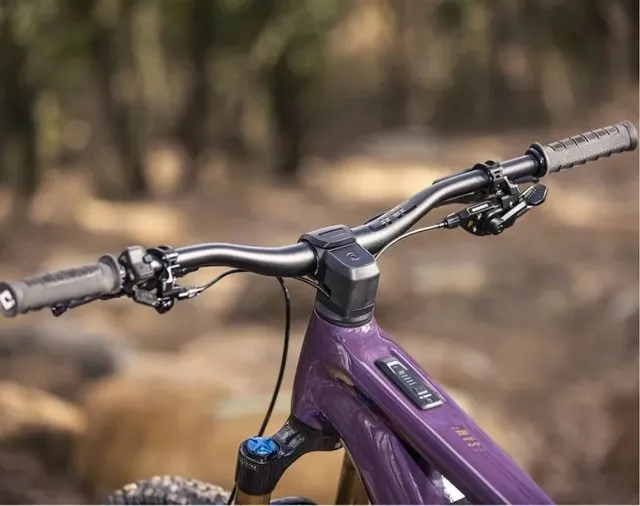 BICICLETA ELECTRICA FOCUS SAM 6.9