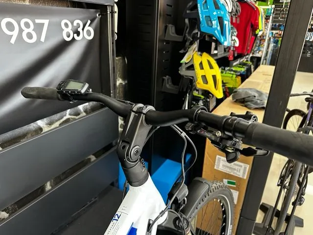 BICICLETA ELÉCTRICA WINORA YUCATÁN 12
